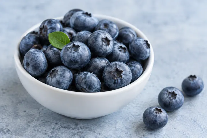 Fresh blueberries in a white bowl